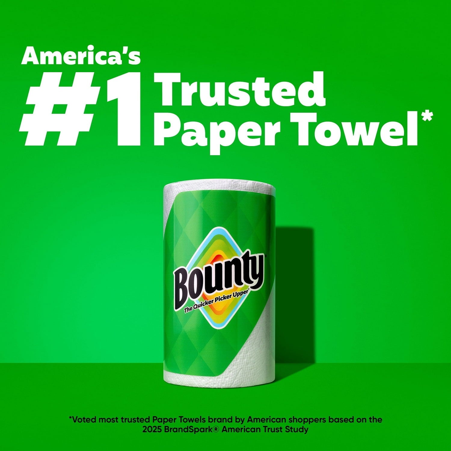 Bounty Select-A-Size 2-Ply Paper Towels, 12 Rolls, 110 Sheets/Roll